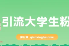 免费资料引流大学生粉蓝海项目：一部手机实现日入300+