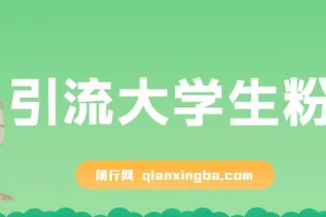 免费资料引流大学生粉蓝海项目：一部手机实现日入300+