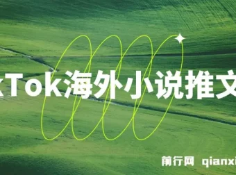 TikTok海外小说推文项目：榜一爆单秘籍分享