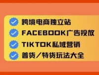 Aron老师跨境电商独立站及全域流量营销课程