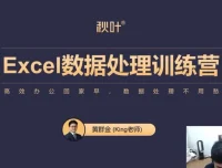 秋叶《Excel数据处理训练营》：职场Excel进阶课程