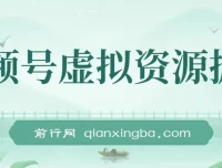 视频号虚拟资源掘金：0成本变现项目介绍