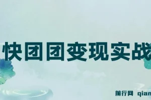 快团团变现实战营：千万级流水团长带你玩转快团团