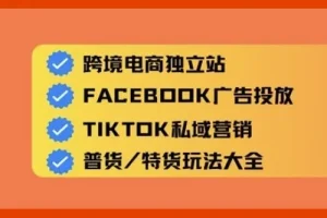 Aron老师跨境电商独立站及全域流量营销课程