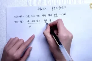 金菲美甲全科班：从零基础到高级技法的全面教程