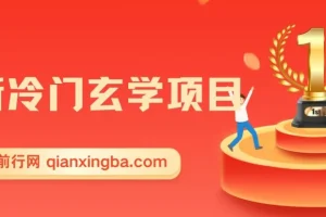 最新冷门玄学项目：零成本创业指南，一单收益268元