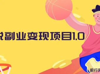 黄岛主：小说副业变现项目1.0