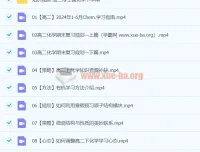 2024高二化学冷士强下学期寒假班