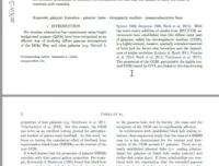 DeepSeek大模型本地部署与使用技巧教程