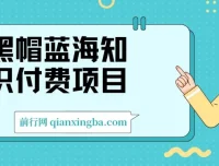 黑帽蓝海知识付费项目：黑帽培训技术