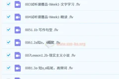 【完结】Wonders美国小学外教写作阅读课