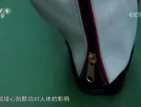 儿童物理启蒙佳作：《我的牛顿教练》全解析