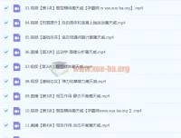 2024蔺天威高三高考物理一轮a+暑假课程