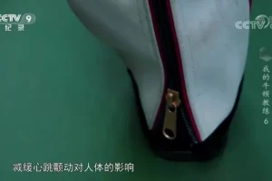 儿童物理启蒙佳作：《我的牛顿教练》全解析