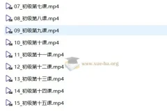 中央音乐学院初级音基考试视频课程：助力音乐基础素养提升