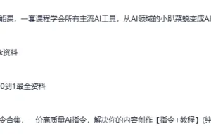 《DeepSeek资料：含AI工具课、AI生成PPT及写小说指令等》