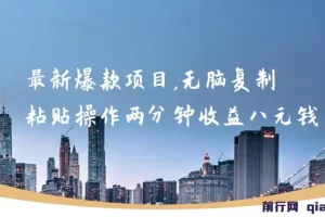 最新爆款网络项目：无脑复制粘贴，两分钟收益八元，可无限操作