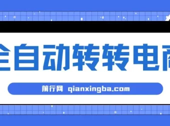 AI全自动转转电商项目：内部专属低价货源揭秘