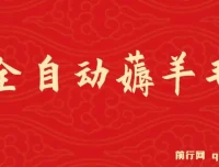 全自动薅羊毛项目：零门槛新手及工作室多平台赚钱方案