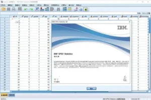 统计分析软件SPSS Statistics 26中文版（Win+Mac）