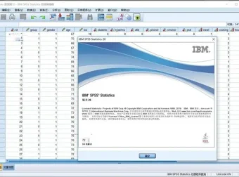 统计分析软件SPSS Statistics 26中文版（Win+Mac）