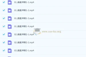 2026考研数学：周洋鑫笑过数学核心考点高能冲刺（冲刺班）