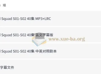 少儿数学启蒙真人剧《数学神奇小队 Odd Squad》（中英双版）