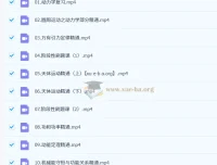 2027届 2024 – 2025高一物理护航课（北大学长跳跳）