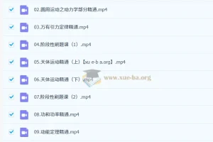 2027届 2024 – 2025高一物理护航课（北大学长跳跳）