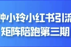 钟小玲小红书引流矩阵陪跑第三期课程