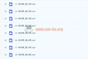 大雁专升本英语单词课（2023 完结版）