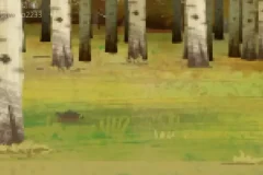 土豆逗野外生存指南：10大绝境自救实用技巧