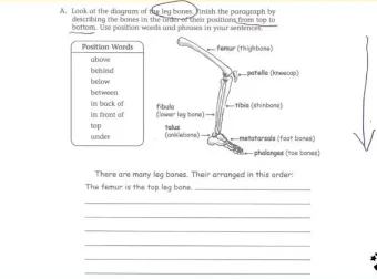 曹文教授英语写作技巧精讲（3-4级）课程