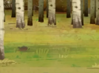 土豆逗野外生存指南：10大绝境自救实用技巧