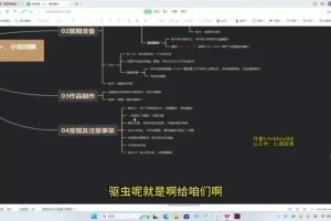 创作猫保姆级掘金计划：新手3天上手获丰富收益