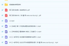 2023高考语文成瑞瑞一轮暑假班与秋季班直播录播课（秋季班更新13讲）