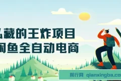 私藏王炸项目：闲鱼全自动电商，单日日入500+长期稳定项目