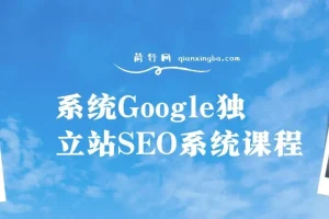 Google独立站SEO系统课程