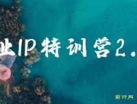 创业IP特训营2.0：IP合伙人掘金计划，实现年入50W
