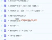 2024初三中考化学杨雯智A+秋季班（下）