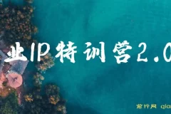 创业IP特训营2.0：IP合伙人掘金计划，实现年入50W