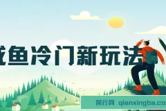 咸鱼冷门玩法：靠修改流量套餐“技能”盈利项目介绍