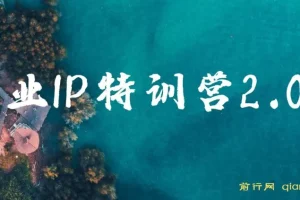 创业IP特训营2.0：IP合伙人掘金计划，实现年入50W