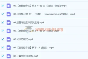 2024初三中考化学杨雯智A+秋季班（下）