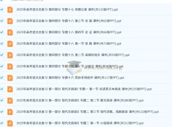 2025年高考语文二轮总复习课件