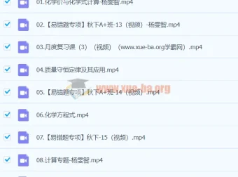 2024初三中考化学杨雯智A+秋季班（下）