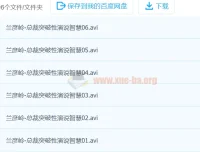 兰彦岭《总裁突破性演说智慧》课程（6集）