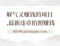 最新违章拍照赚钱项目：随手拍摄，轻松增收