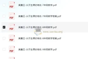 奥赛王《尖子生课时培优：7 – 9年级数学》