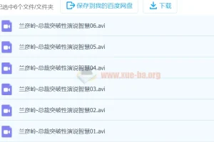 兰彦岭《总裁突破性演说智慧》课程（6集）